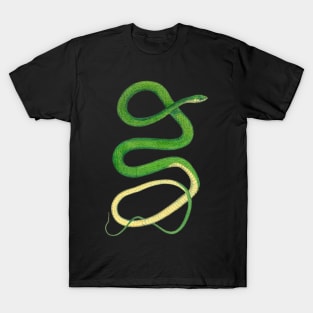 Snake T-Shirt